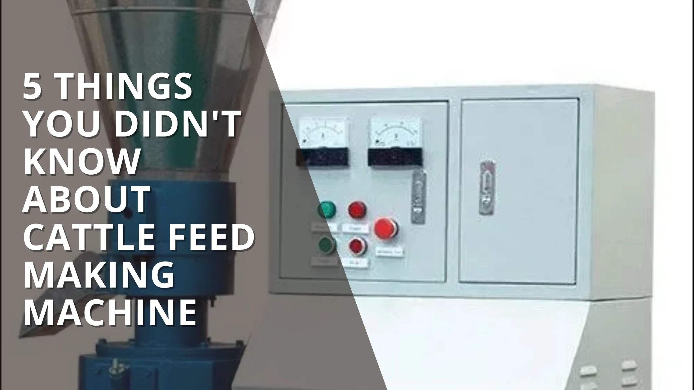 5 Things You Didn't Know About Cattle Feed Making Machine