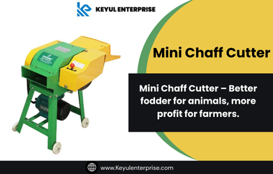 Where to Buy Mini Chaff Cutter Machines in India Best Price
